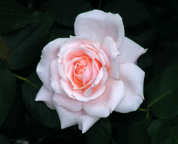 Quietness photo qui2013_07290010_zpsfb1282c9.jpg